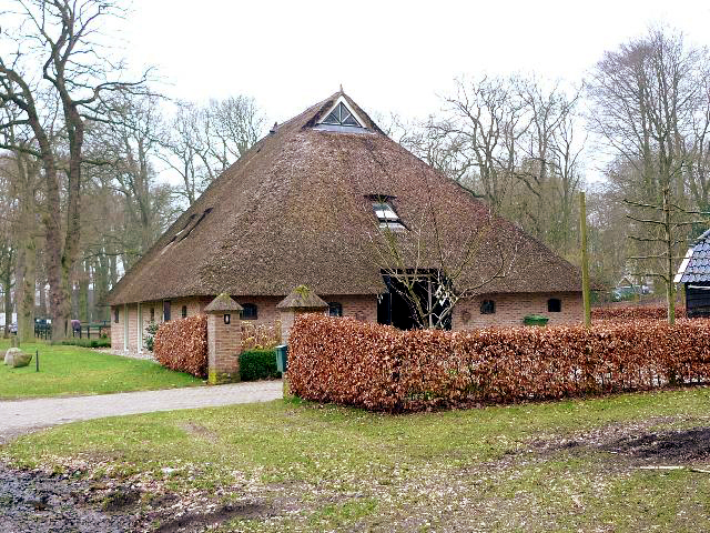 オランダの茅葺き屋根 メディア 建材ダイジェスト