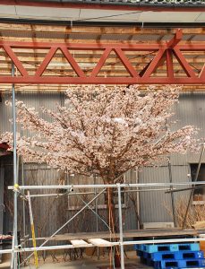 人工樹木・人工観葉樹・造花の施工例 (1)