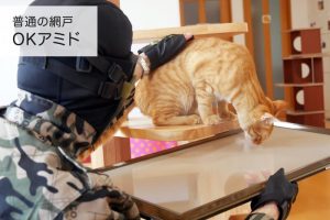 猫を上に乗せようとしている