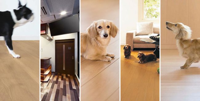 室内犬を飼うなら知っておきたい すべり止め対策ができる床材6つ調べてみた 建材ダイジェスト